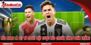 Kèo Rung Là Gì? Bí Quyết Đặt Cược Kèo Chuẩn Tăng Phần Thắng